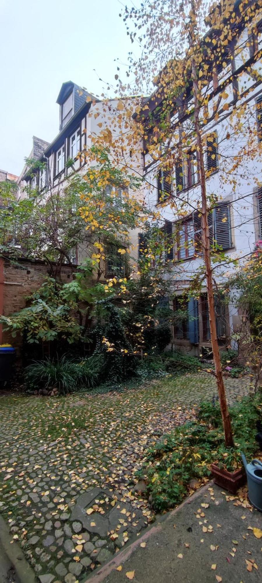 Haven Lägenhet Strasbourg Exteriör bild